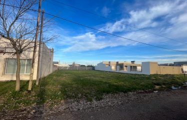 Lote en Villa Aurora de 600mts2